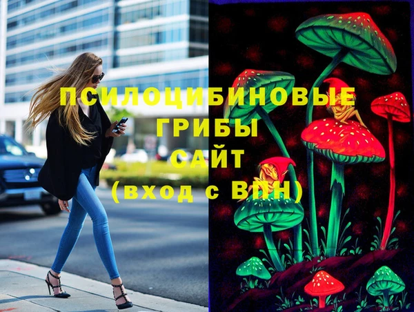 соль ск Белоозёрский