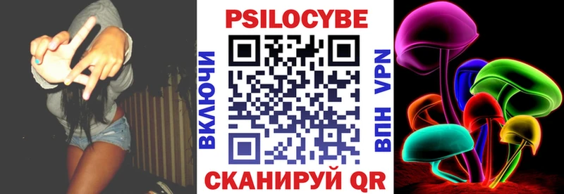 наркотики Шагонар ОМГ ОМГ маркетплейс Псилоцибиновые грибы Magic Shrooms